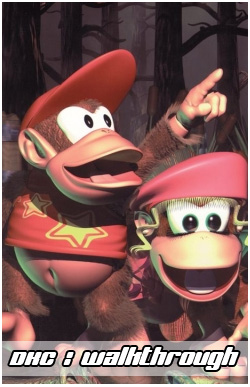 DKC 2